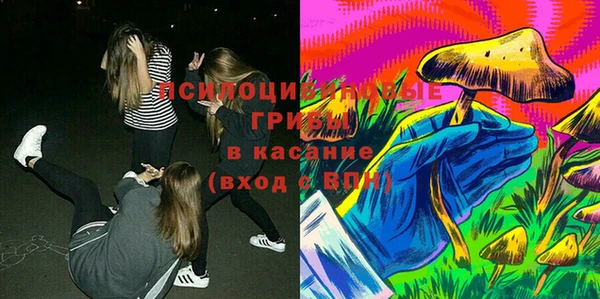 МДПВ Алексин
