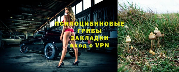 ALPHA PVP Нязепетровск