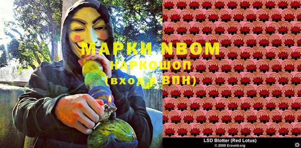 ПСИЛОЦИБИНОВЫЕ ГРИБЫ Алзамай