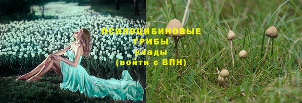 ПСИЛОЦИБИНОВЫЕ ГРИБЫ Алзамай